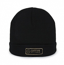 Шапка Beanie Hat,